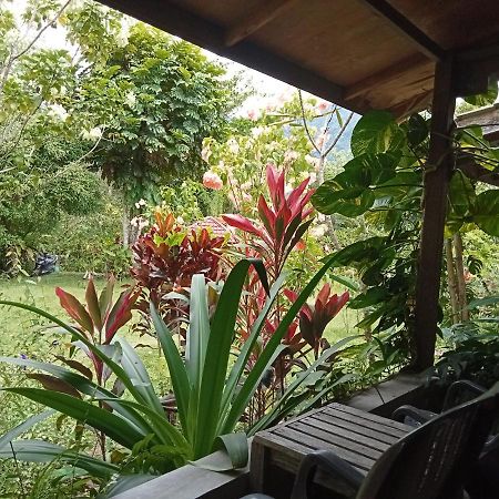 Thousand Hills Ketambe ,Room And Treking Lhokuenam ภายนอก รูปภาพ