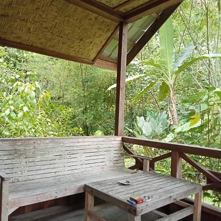 Thousand Hills Ketambe ,Room And Treking Lhokuenam ภายนอก รูปภาพ