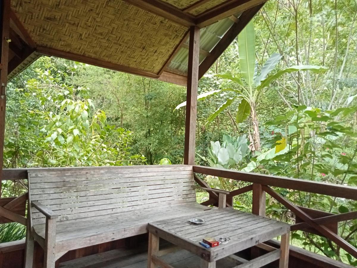 Thousand Hills Ketambe ,Room And Treking Lhokuenam ภายนอก รูปภาพ