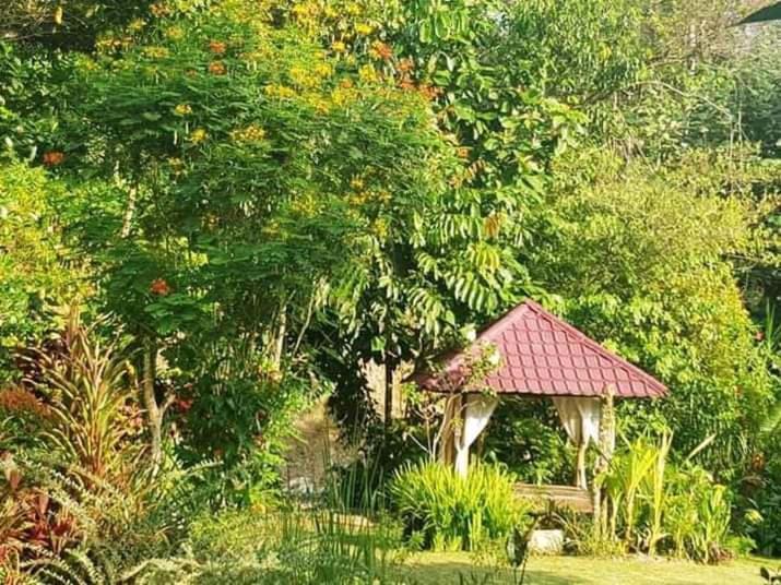 Thousand Hills Ketambe ,Room And Treking Lhokuenam ภายนอก รูปภาพ