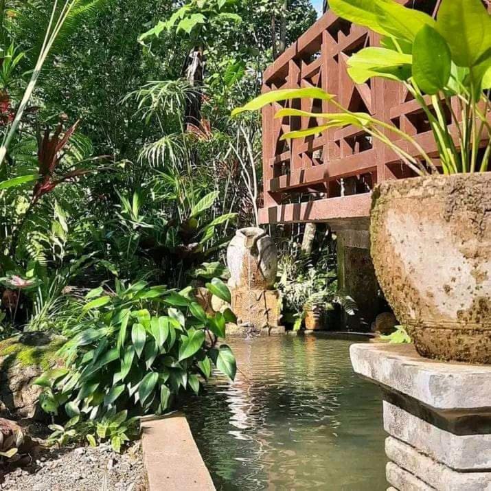 Thousand Hills Ketambe ,Room And Treking Lhokuenam ภายนอก รูปภาพ