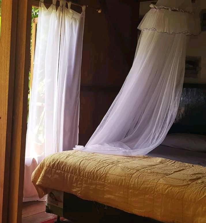 Thousand Hills Ketambe ,Room And Treking Lhokuenam ภายนอก รูปภาพ