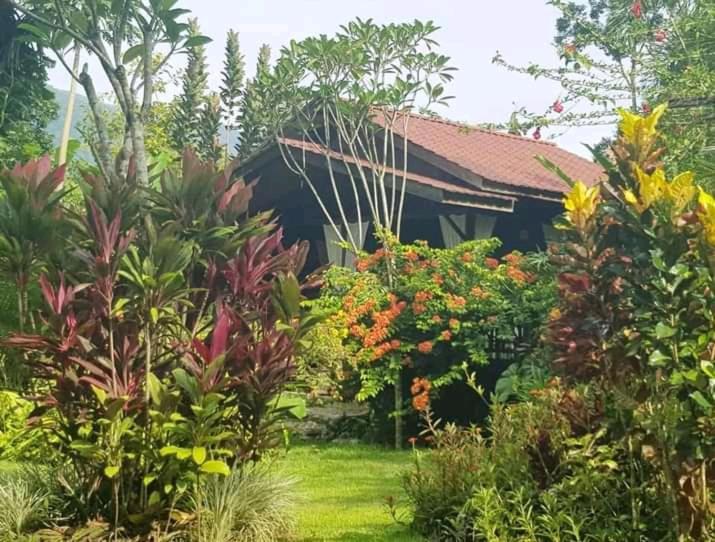 Thousand Hills Ketambe ,Room And Treking Lhokuenam ภายนอก รูปภาพ