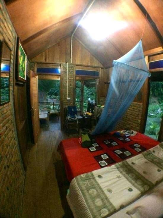Thousand Hills Ketambe ,Room And Treking Lhokuenam ภายนอก รูปภาพ
