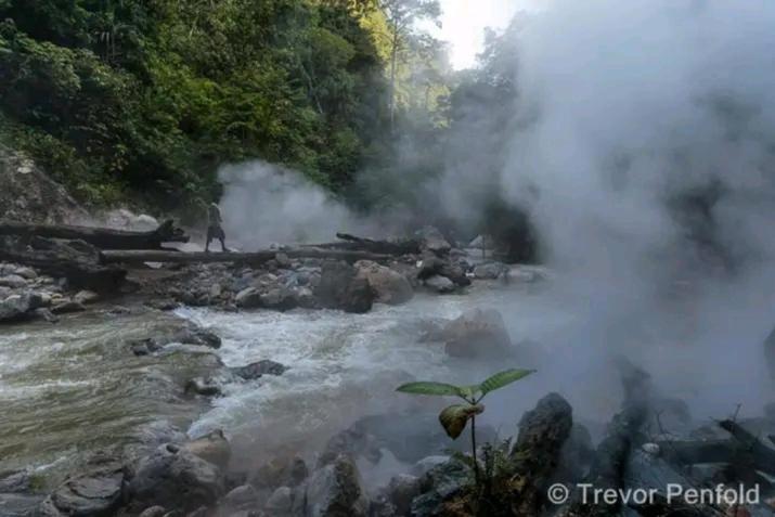 Thousand Hills Ketambe ,Room And Treking Lhokuenam ภายนอก รูปภาพ