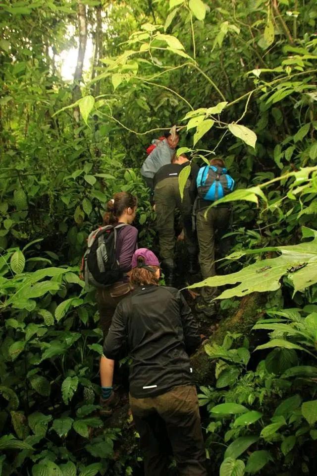 Thousand Hills Ketambe ,Room And Treking Lhokuenam ภายนอก รูปภาพ