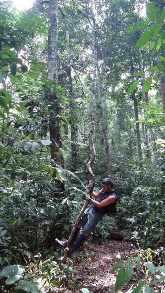 Thousand Hills Ketambe ,Room And Treking Lhokuenam ภายนอก รูปภาพ
